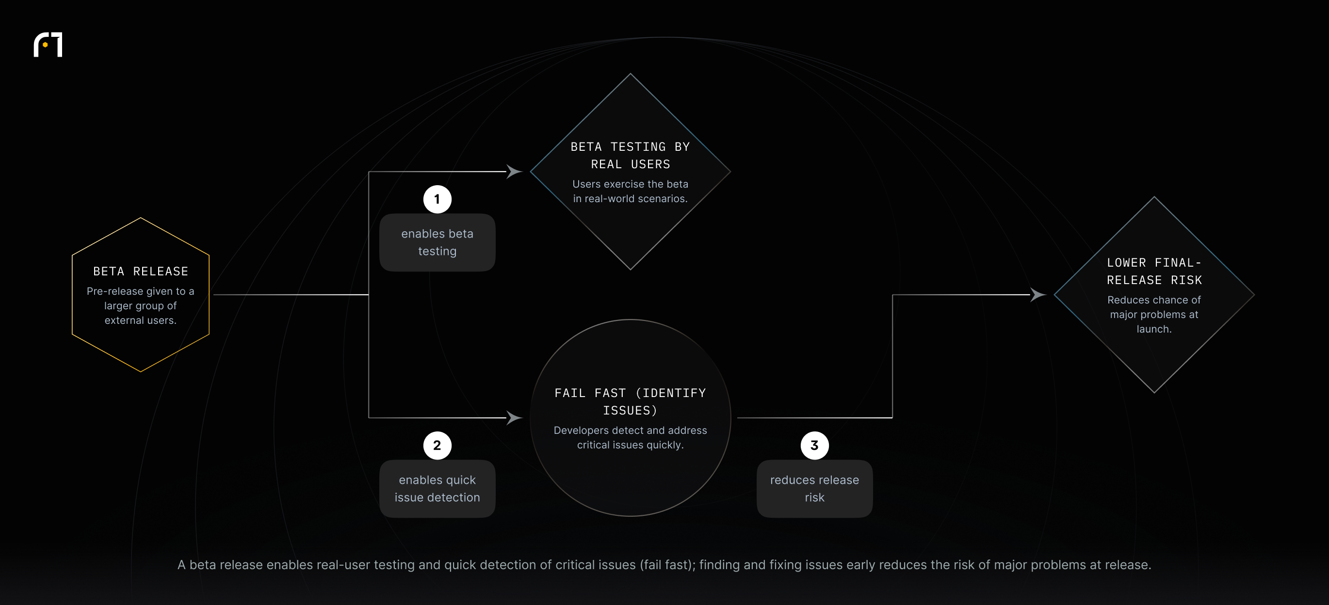Beta releases give external users access to pre-release software, enabling beta testing and quick detection of critical issues; identifying and fixing issues early reduces the risk of major problems in the final release.