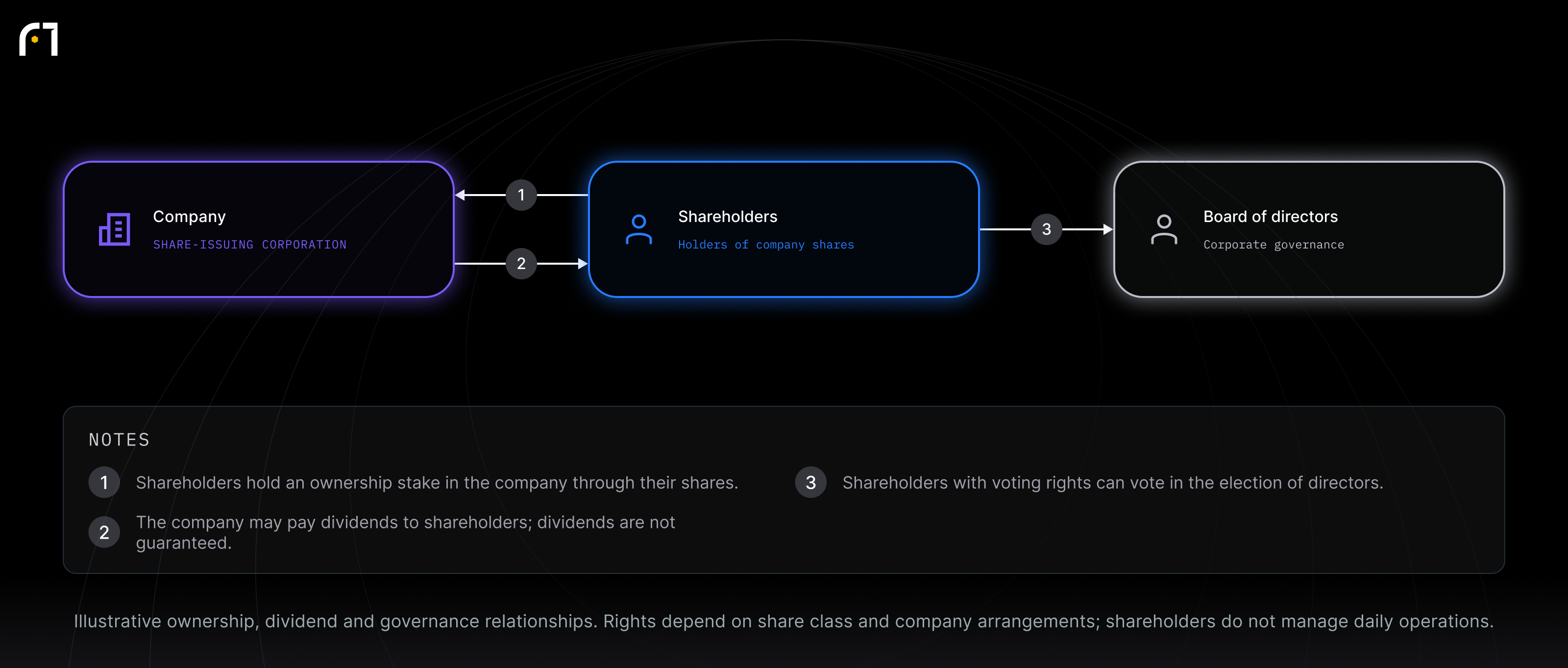 Company; Shareholders; Board of directors. Illustrative ownership, dividend and governance relationships. Rights depend on share class and company arrangements; shareholders do not manage daily operations.